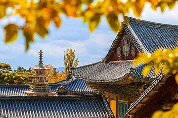 7 Highlights Gyeongju City One Day Tour from Busan