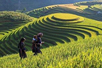From Hanoi: Sapa 3D2N Hotel overnight by Limosine