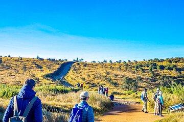 Customized 6 Days Sri Lanka Honeymoon Package