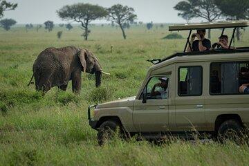 4 Day Akagera Safari & Gorilla Trekking at Volcanoes Nat Park