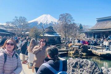 Mount Fuji One Day Private Customizable Tour with English Guide