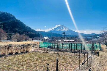 Mount Fuji One Day Private Customizable Tour with English Guide