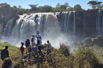 10 Day Tour in Ethiopia Through History, Culture, and Nature