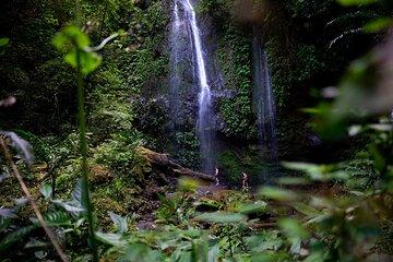 Cloud Forest and Hidden Waterfall Hike in Santiago Atitlan