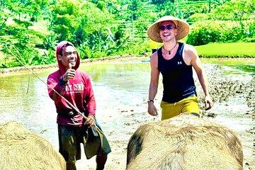 Nepal Van Java and Buffaloes Activity with Local Community