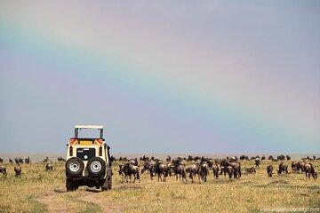 8 Day Kenya Safari Adventure Ending in Diani Beach