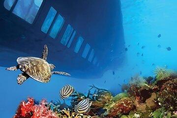 Hurghada: Glass Boat and Parasailing Trip with Snorkeling