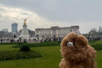 London Private Guided City Tour by Car