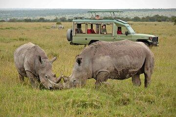 From Nairobi Ol Pejeta Conservancy Private Day Tour