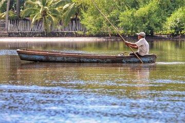 Adventure Nature in the Mangroves of the Barra de Santiago