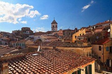 Vineyards, Napoleon and Charming Villages from Elba Cruise Port