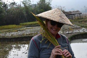 Half Day Hands On Rice Learning Experience in Luang Prabang
