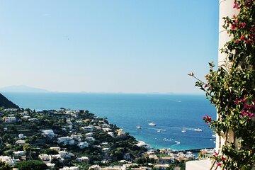 Explore Naples Five Hour City Tour