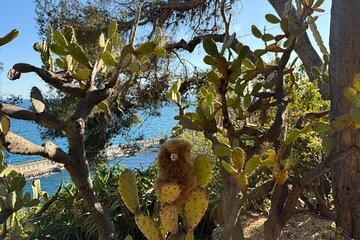 Monaco Private Full Day Guided Tour