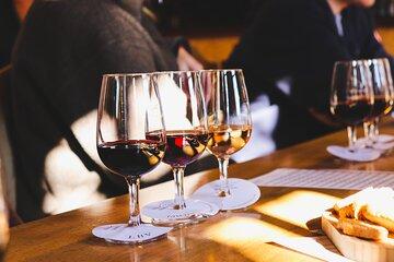 Explore the Douro Valley from Porto