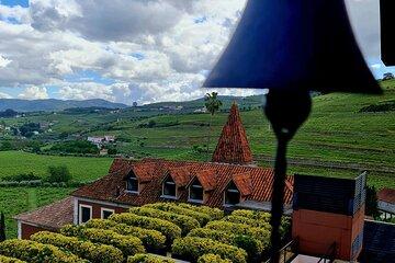 Private Wine Tasting Tour in Douro Valley