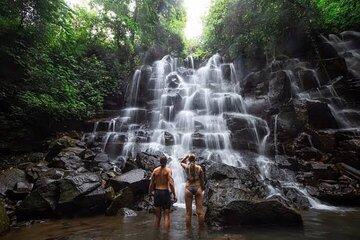 Private Day Tour To Waterfalls And Ubud Sightseeing