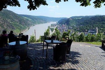 Koblenz to UNESCO World Heritage Site Upper Middle Rhine Valley