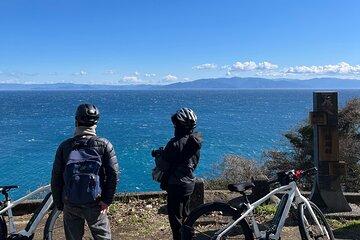 Japan Culture E-Bike Tour with Mt. Fuji View from Shimizu port