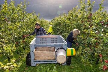 Cider Tour - Hardanger