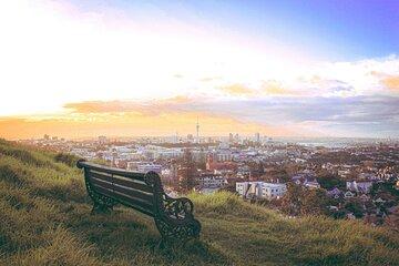 Auckland City Top Sights Half Day Tour - Small Group