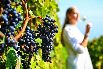 Ancient Corinth and Wine Tasting in Nemea Private Tour