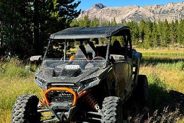 9 Hour Utah UTV Rental (4 Seater RZR)