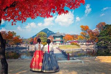 Customized Private Tour from Seoul