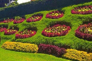 Coimbatore to Ooty Day Trip - Explore A Perfect Hill Station