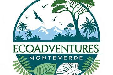 Natural History Walk in the Cloud Forest in Monteverde