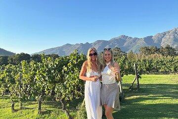 From Cape Town Private Luxury Wine Tour with Two Tastings