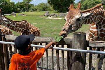 Zoo Miami Admission Ticket