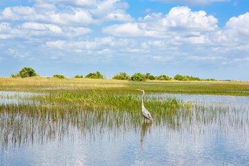 Boat Safari with Montreal’s Nature and Iconic Attractions Tour