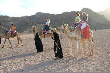 Quad Biking and Camel Riding Adventure in Hurghada