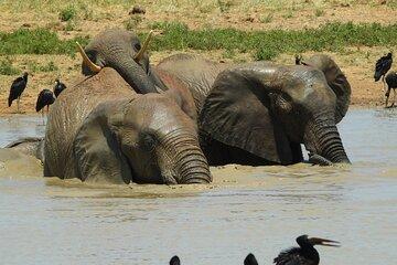 2 Days Tsavo East Safari from Mombasa