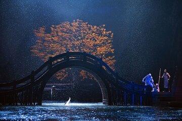 House of Dancing Water Ticket