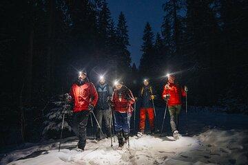 Mystery Nocturne Walk with Headlamps