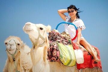 One Hour Camel Ride in Stunning Desert with Transfer – Hurghada