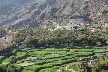 Explore Nakhal Fort and Wadi Bani Awf