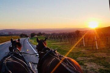 Sparkling carriage ride through Krems and the Wachau vineyards