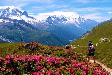 Chamonix Mont Blanc Hiking Adventure with Aiguille du Midi Option