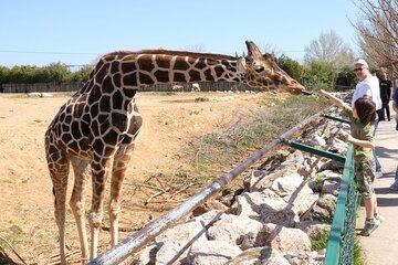 Photo Session at Athens Zoo