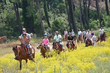 Horse Riding Experience with Hotel Transfer from Marmaris