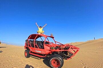 Visit Paracas Islas Ballestas Ica Huacachina 1 day trip