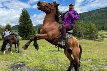 Private 4-Day Mongolia Chinggis Khan Statue Complex Tour