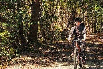 Inaka food and Ebike tour in Yuki