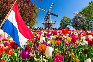 Keukenhof Tulip Fields and Bulb Area available from March to May