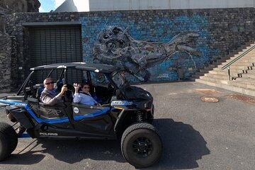 Madeira Buggy Private Scenic Tour to Câmara de Lobos and Skywalk