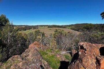 Experience SA Clare Valley private Tour