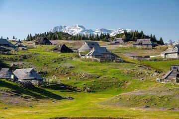 Velika Planina Guided Hike from Ljubljana